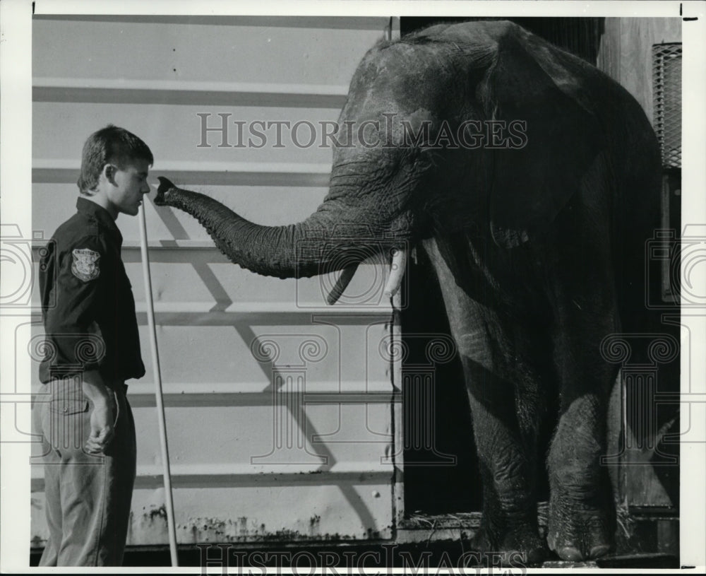 1990 Press Photo Larry Flair of Nashville gets checked out by Roxy the Elephant - Historic Images