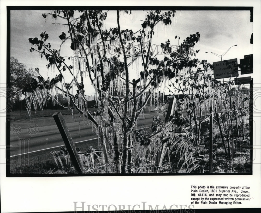 1988 Press Photo Roadside Garden icicles - cvb13375 - Historic Images