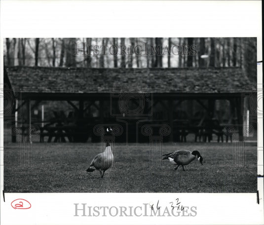 1991 Press Photo Municipal Park - cvb13832 - Historic Images