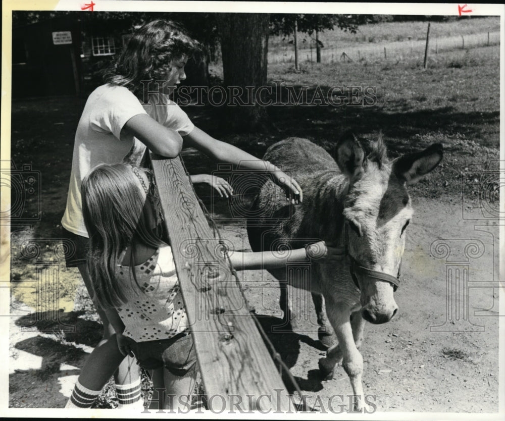 1981 Press Photo Diane and Debbie Holzheimer-Stearns Homestead-Gibbs Farm - Historic Images