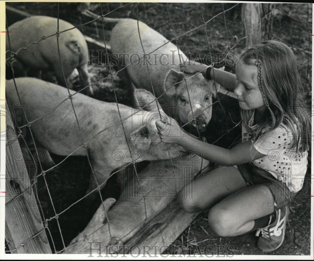 1981 Press Photo Diane Holzheimer-Stearns Homestead-Gibbs Farm - cvb14293 - Historic Images