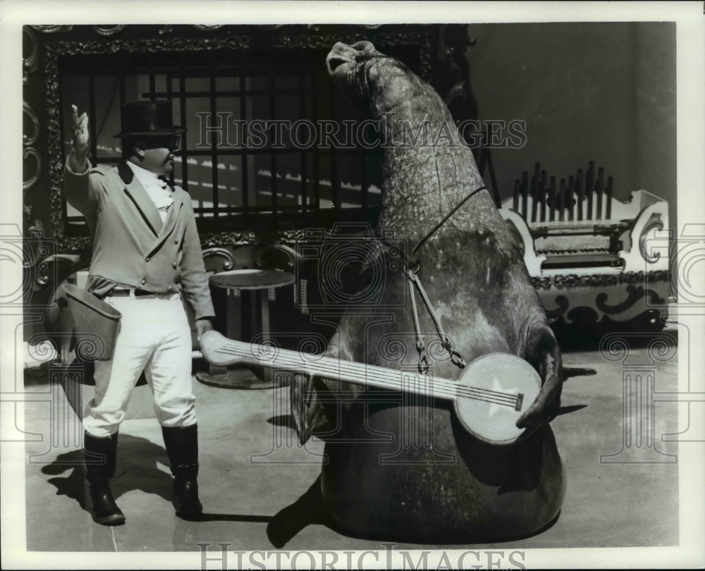 1973 Press Photo Scene From Sea World in Aurora, Ohio - cvb15572-Historic Images