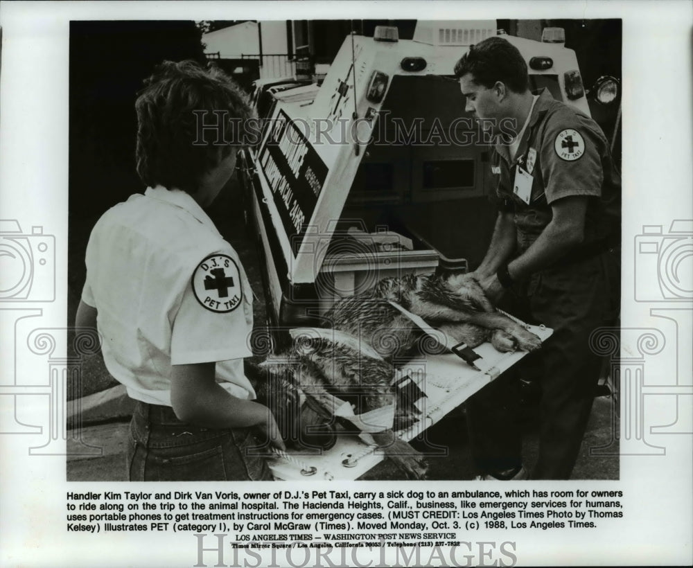 1988 Press Photo Kim Taylor &amp; Dirk Van Voris of D.J. Pet Taxi Takes a Sick Dog - Historic Images