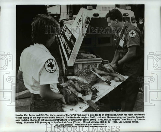 1988 Press Photo Kim Taylor & Dirk Van Voris of D.J. Pet Taxi Takes a Sick Dog - Historic Images