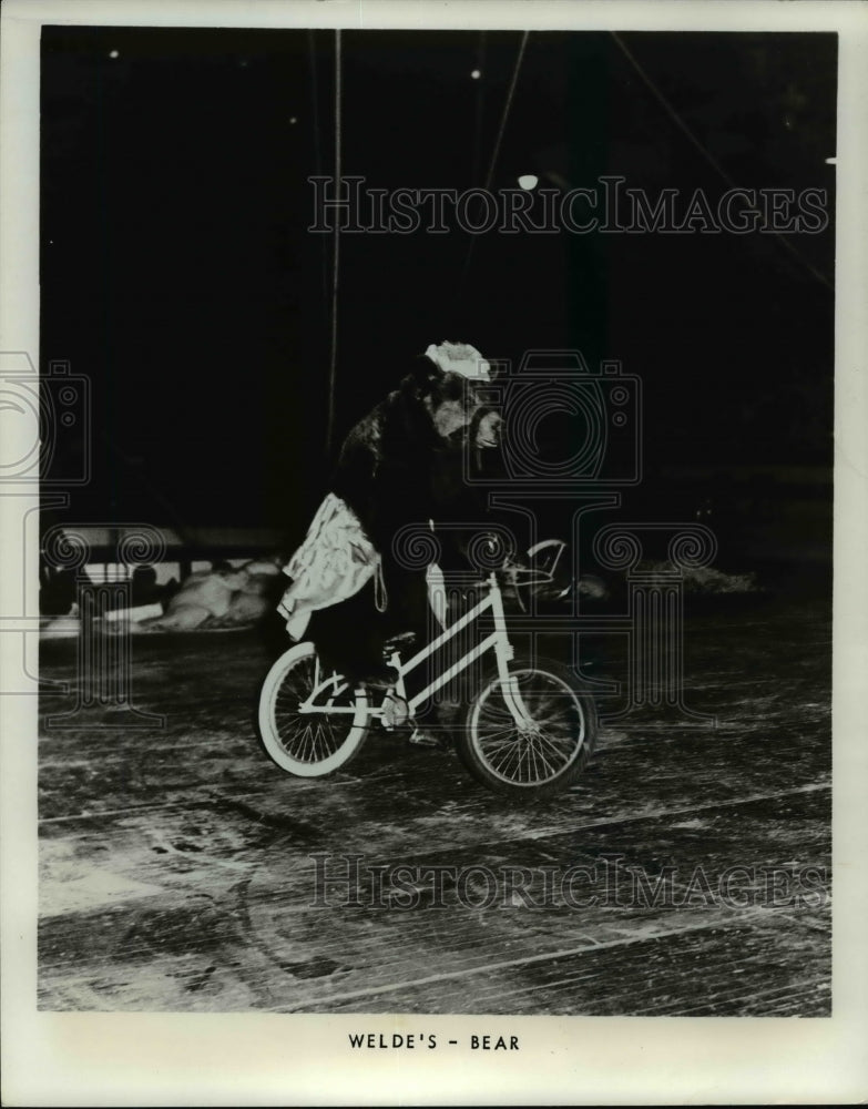 1971, Cycling bear performer at the 42nd Annual Grotto Winter Circus - Historic Images