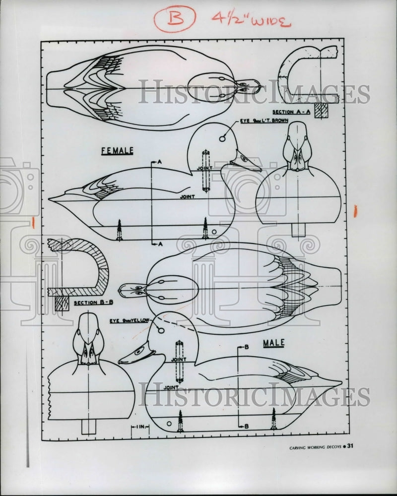 1977 Press Photo Carving working duck decoys. - cvb16421 - Historic Images