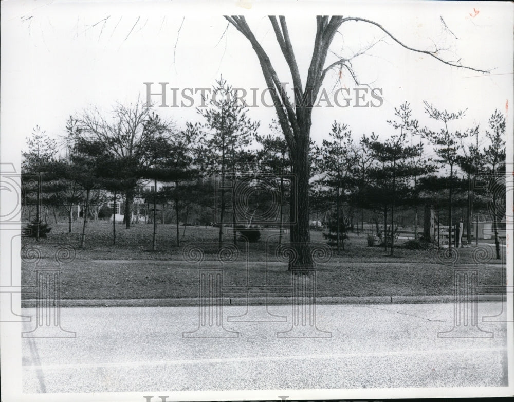 1960, Shakers gatex posts at Shaker Boulevard and Lee Rds. - Historic Images