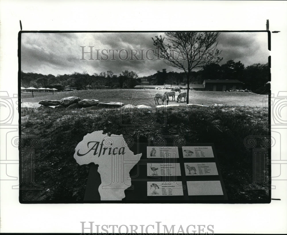 1984 Press Photo African Plain, a new exhibit at the Zoo - cvb17432 - Historic Images