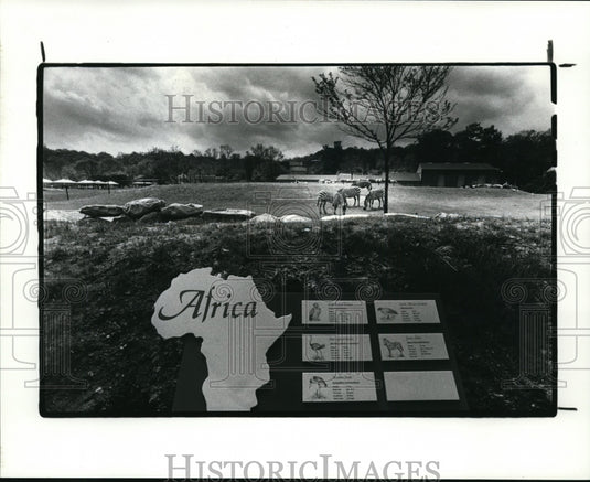 1984 Press Photo African Plain, a new exhibit at the Zoo - cvb17432 - Historic Images