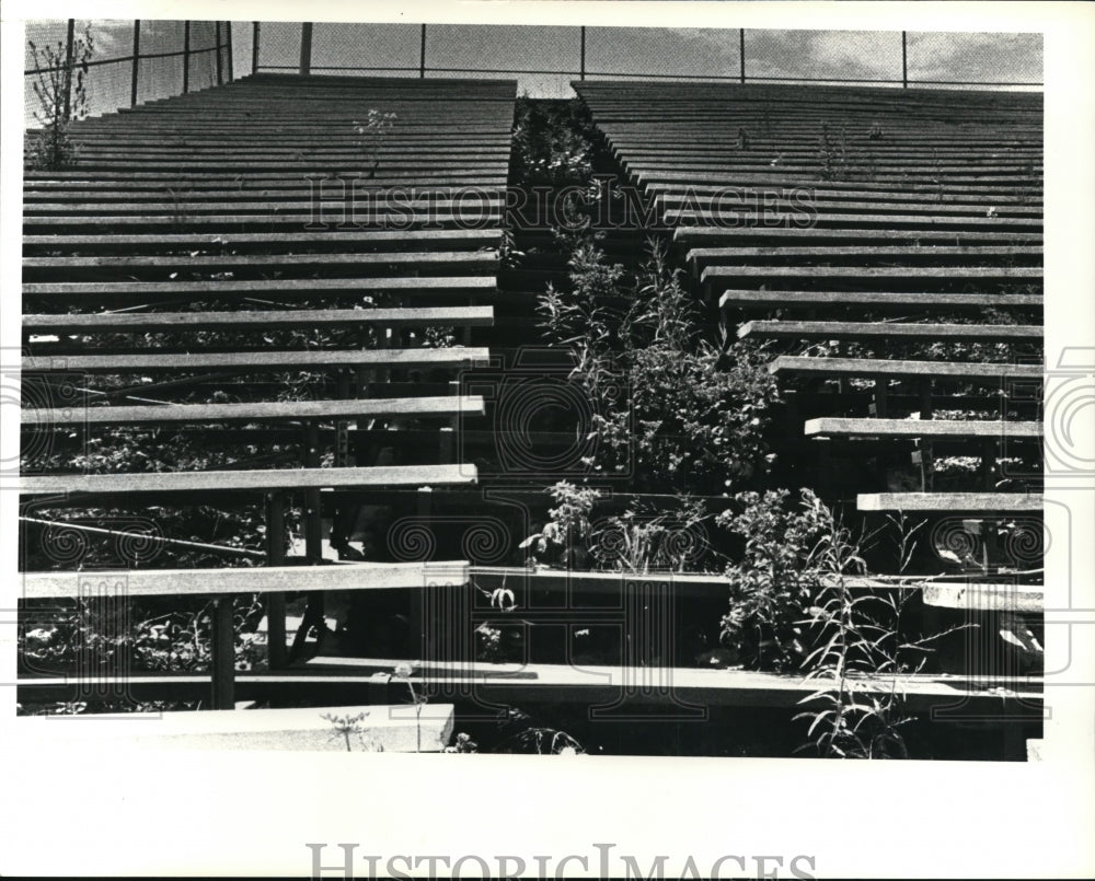 1981 Press Photo Abandoned grandstand of Buckeye State Fair Grounds, Geneva, O - Historic Images