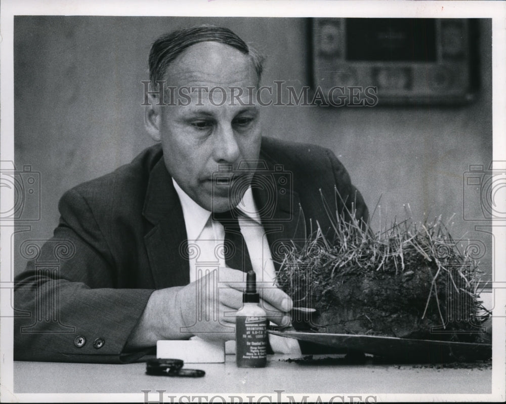 1968 John Matter at Garden center-Historic Images