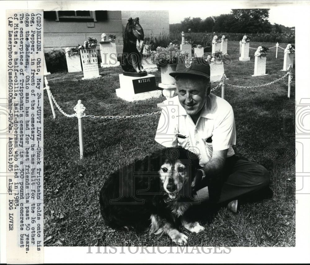 1985 Press Photo Pet Cemetary - cvb18014 - Historic Images