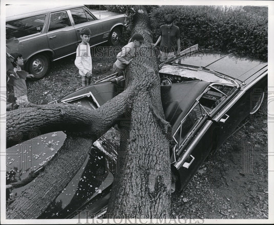 1969 Press Photo Car destroyed by the July 4, 1969 storm - cvb18215 - Historic Images