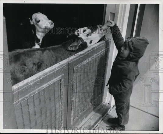 1972 Press Photo Brookside Children's Zoo - cvb18232 - Historic Images