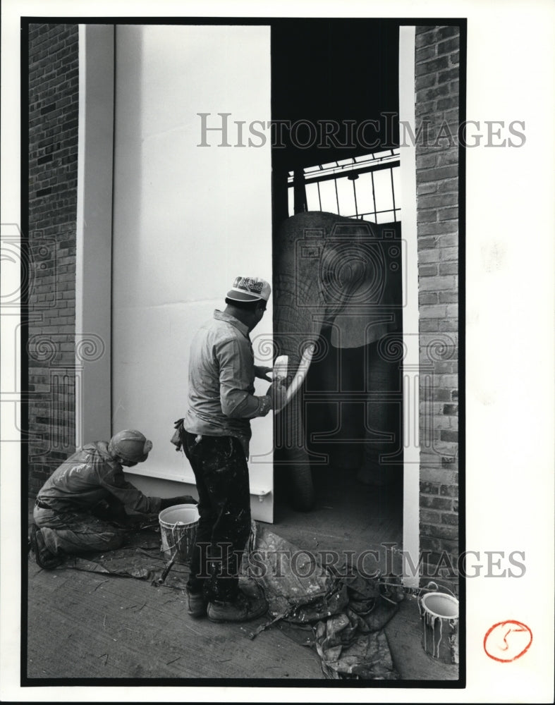 1990 Press Photo Gus Kafas &amp; James Dados do fall painting - cvb18398 - Historic Images