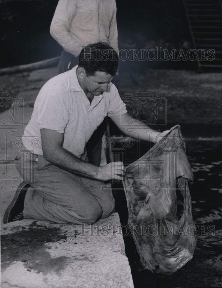 1954, Patrolman Cy Lipaj with ripped t shirt pulled from Lake Erie - Historic Images