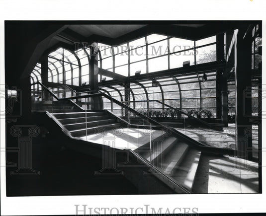 1980 Press Photo Cleveland Metropolitan Zoo, tropical rain forest exhibit. - Historic Images
