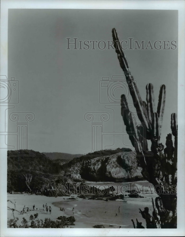 1981 Press Photo Ixtapa Mexico - cvb19060 - Historic Images