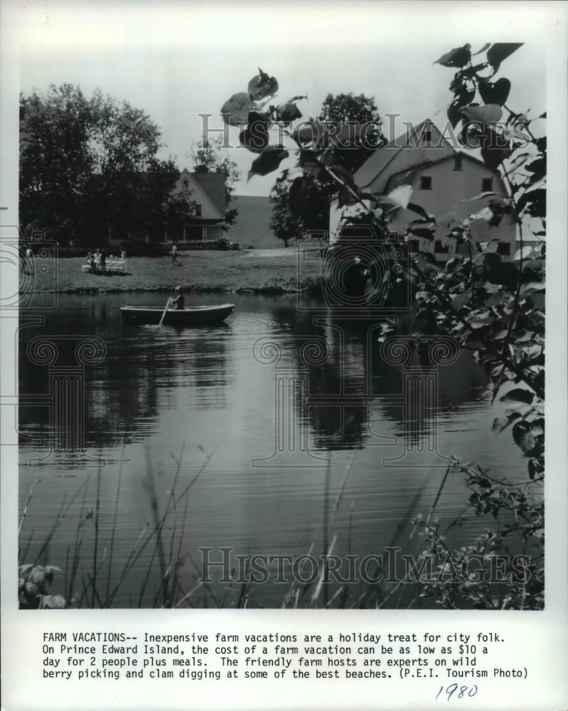 1980 Press Photo Farm Vacations - cvb19085 - Historic Images