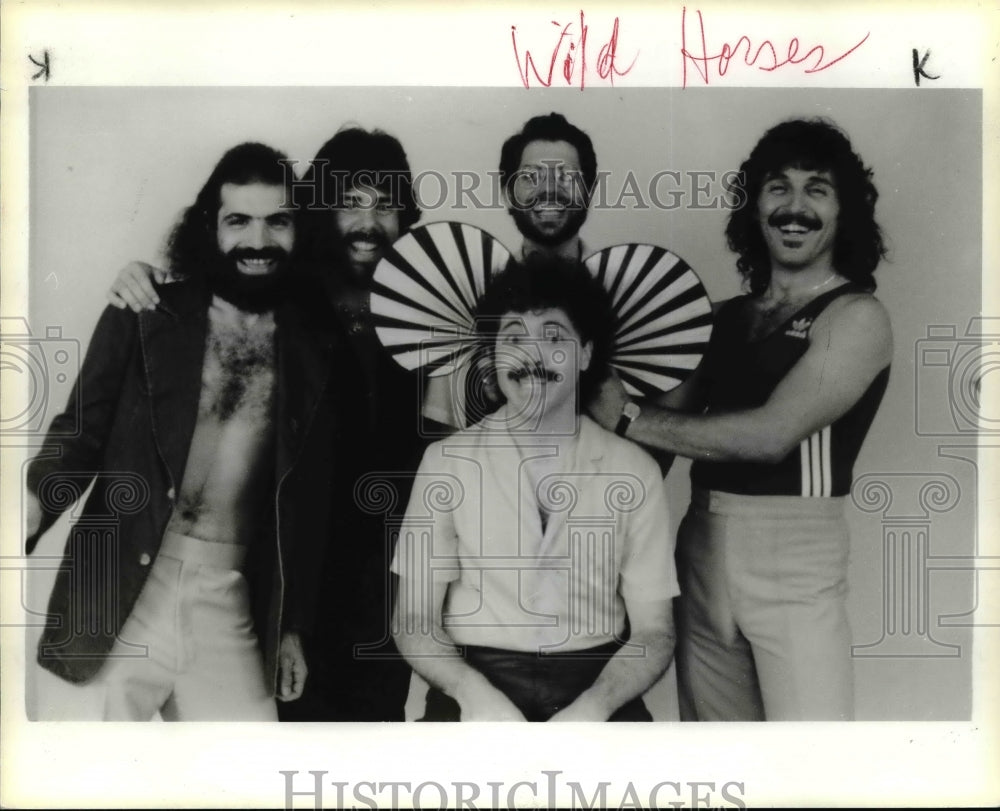 1984 Press Photo Wild Horses - cvb20010 - Historic Images