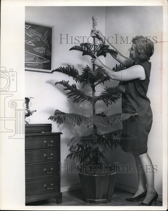 1965, - cvb20427 - Historic Images