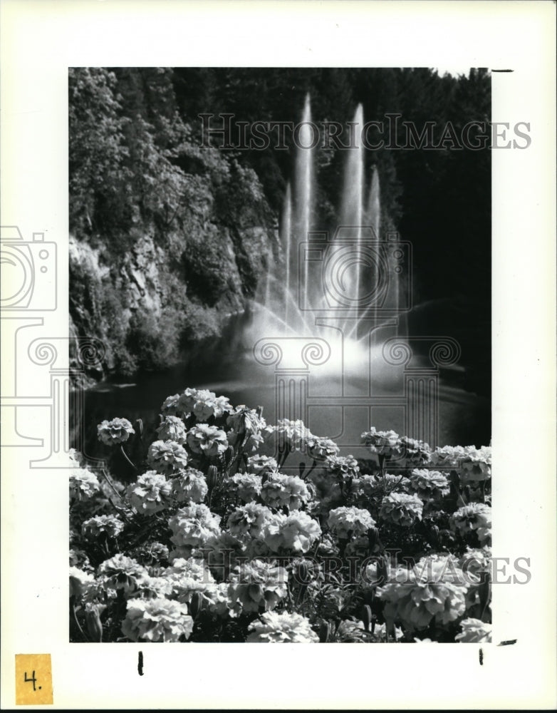 1986 Press Photo Ross Fountain in British Columbia, Vancouver Island, Canada - Historic Images