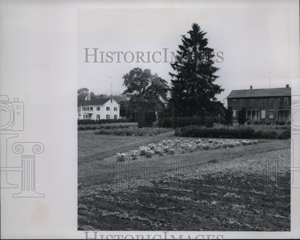 1966 Press Photo-Historic Images