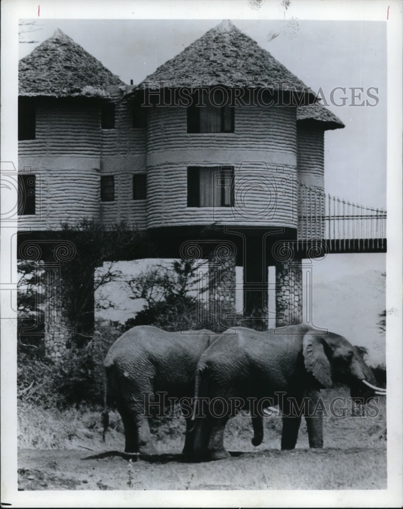 1974 Press Photo Animals roaming Kenya&#39;s Tsavo National Park - cvb20641 - Historic Images