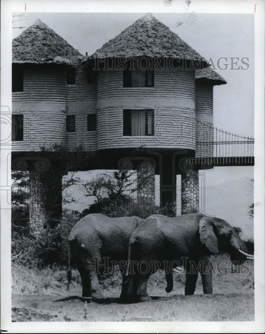 1974 Press Photo Animals roaming Kenya's Tsavo National Park - cvb20641 - Historic Images