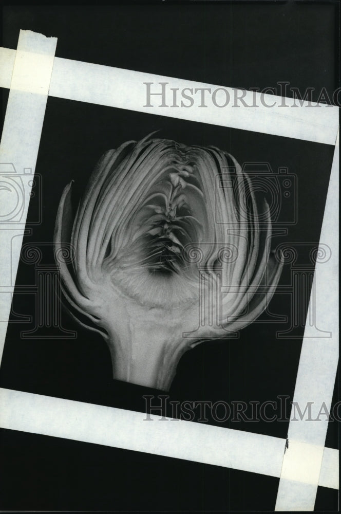 1988 Press Photo Artichokes - cvb21032 - Historic Images