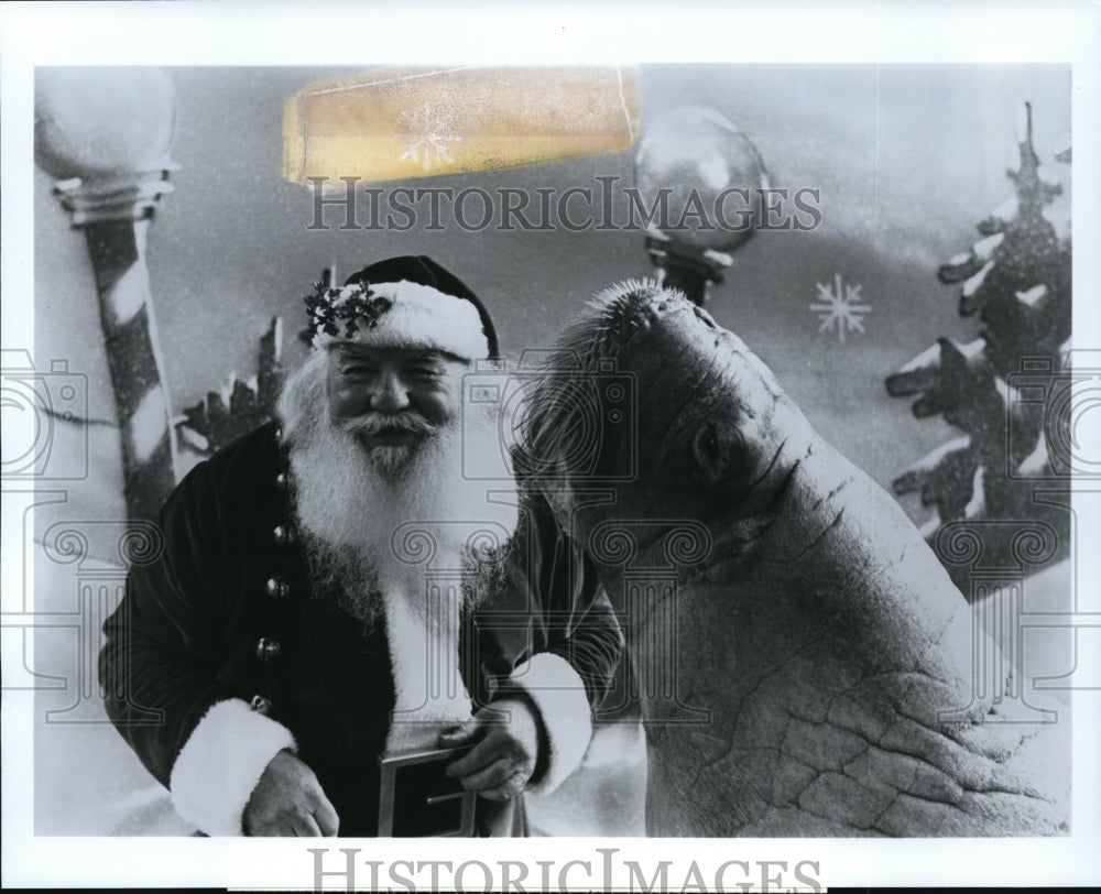 1983, Wally Walrus and Santa Claus-Sea World - cvb21351 - Historic Images