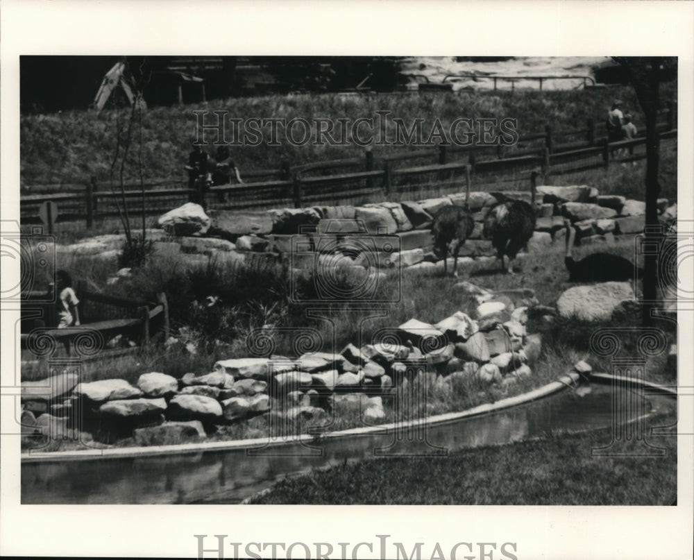 1986 Press Photo African Plain Exhibit, Cleveland Metroparks-Ohio - cvb21353 - Historic Images