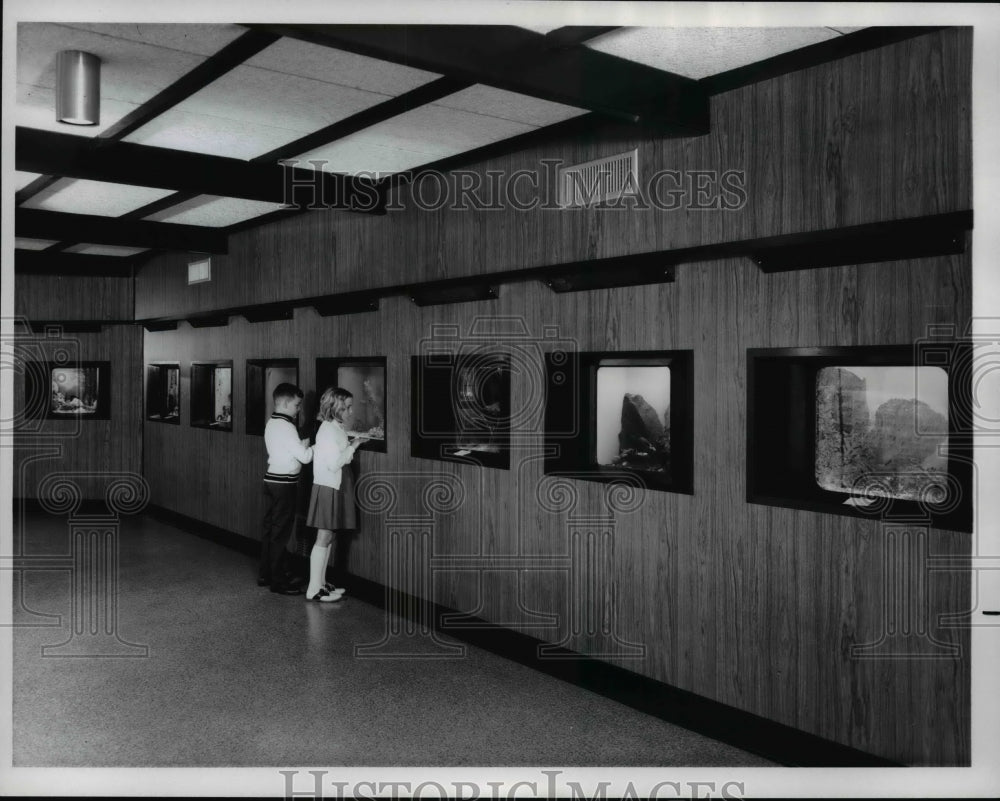 1967 Press Photo New Cleveland Aquarium - cvb21618 - Historic Images