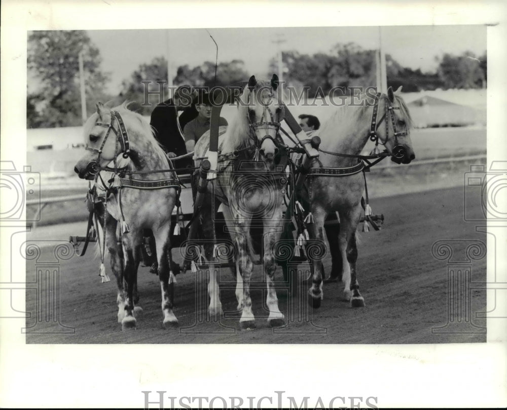 1990 Press Photo Horses of Peace-Troika North park - cvb21646 - Historic Images