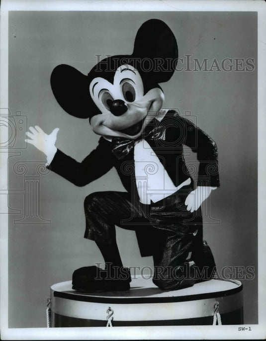 1971 Press Photo Mickley Mouse - cvb22259 - Historic Images