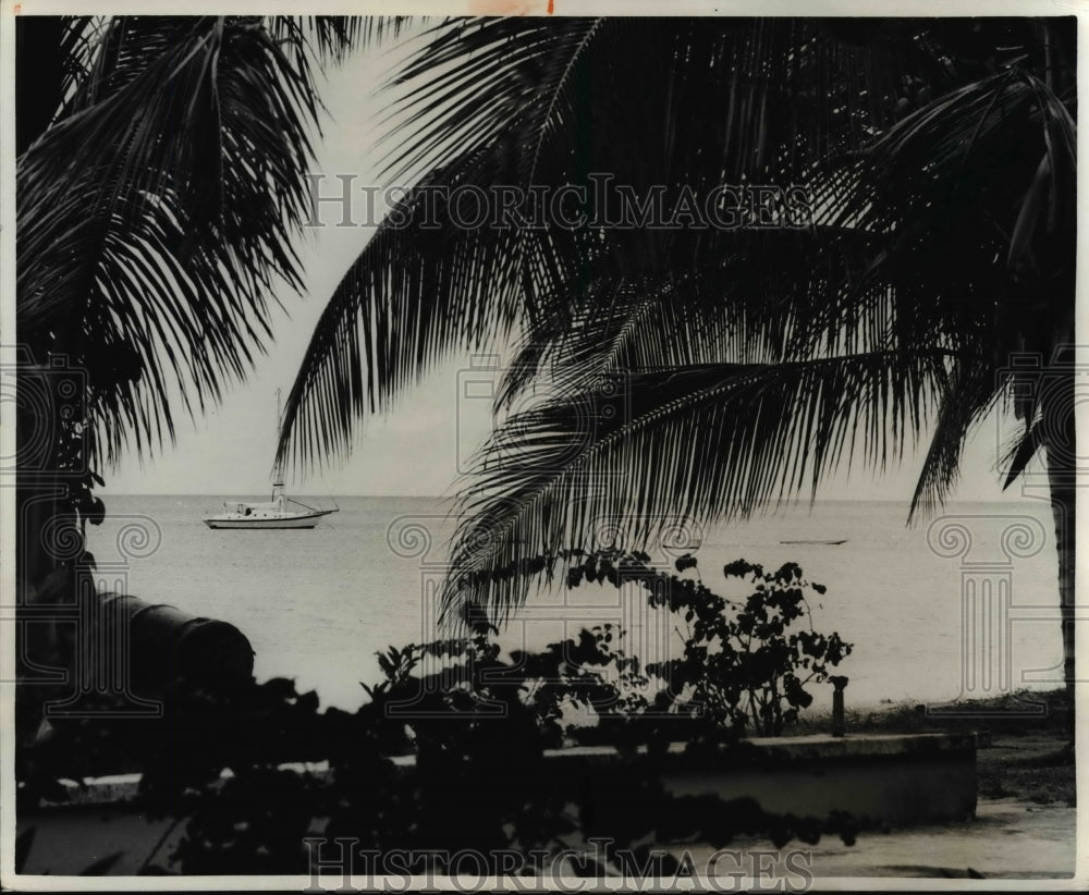 1981 Press Photo Antigua-West Indies, view from the Anchorage Hotel - cvb22685 - Historic Images