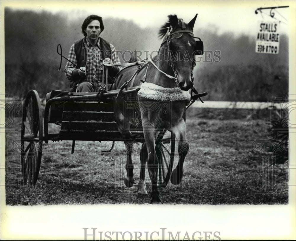 1983 Press Photo Horses-Breeds, Hackney - cvb23061 - Historic Images