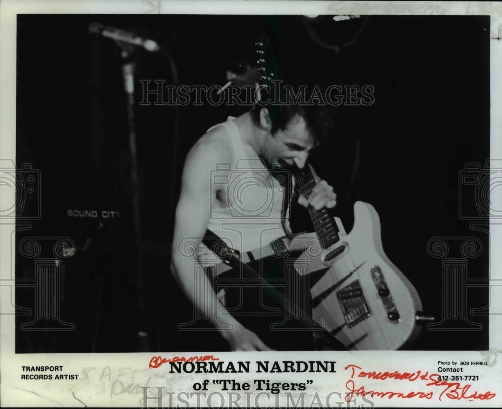 1991 Press Photo Norman Nardini - cvb23257 - Historic Images