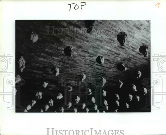 1996 Press Photo Cleveland State University-head and hand - cvb23398 - Historic Images