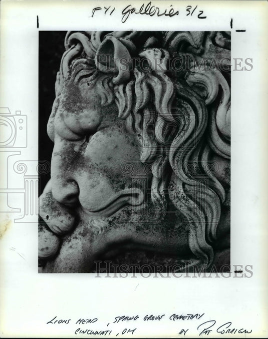 1990 Press Photo Lions Head in Mather Gallery Show - cvb23882 - Historic Images