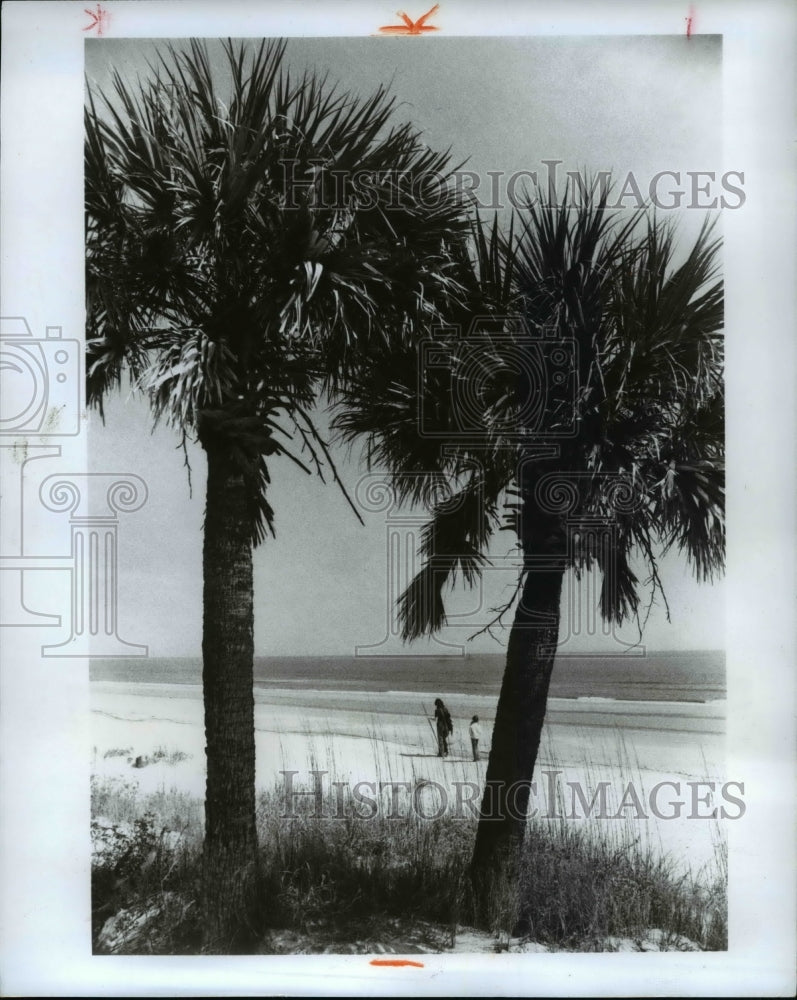 1981, Visitors at Hunting Island Sate Park in South Carolina. a - Historic Images