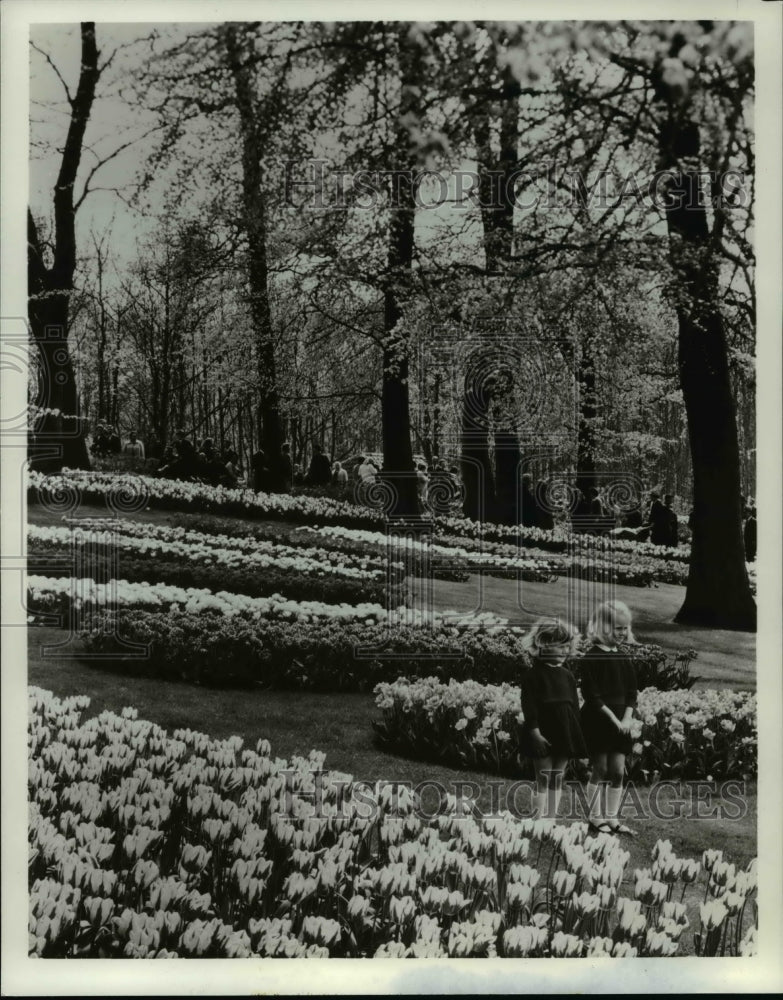 1984 Press Photo - cvb24095 - Historic Images