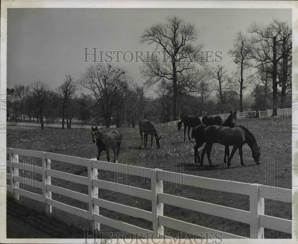 1962 Central Kentucky-Historic Images