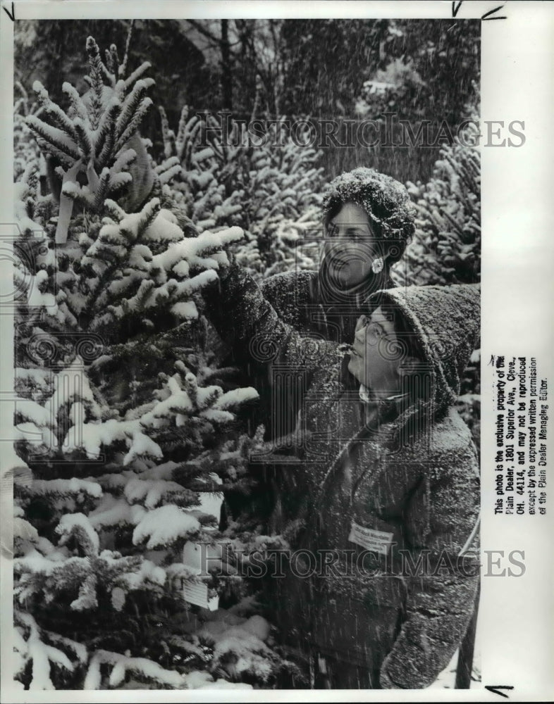 1988 Press Photo Christmas Tree - cvb24693 - Historic Images