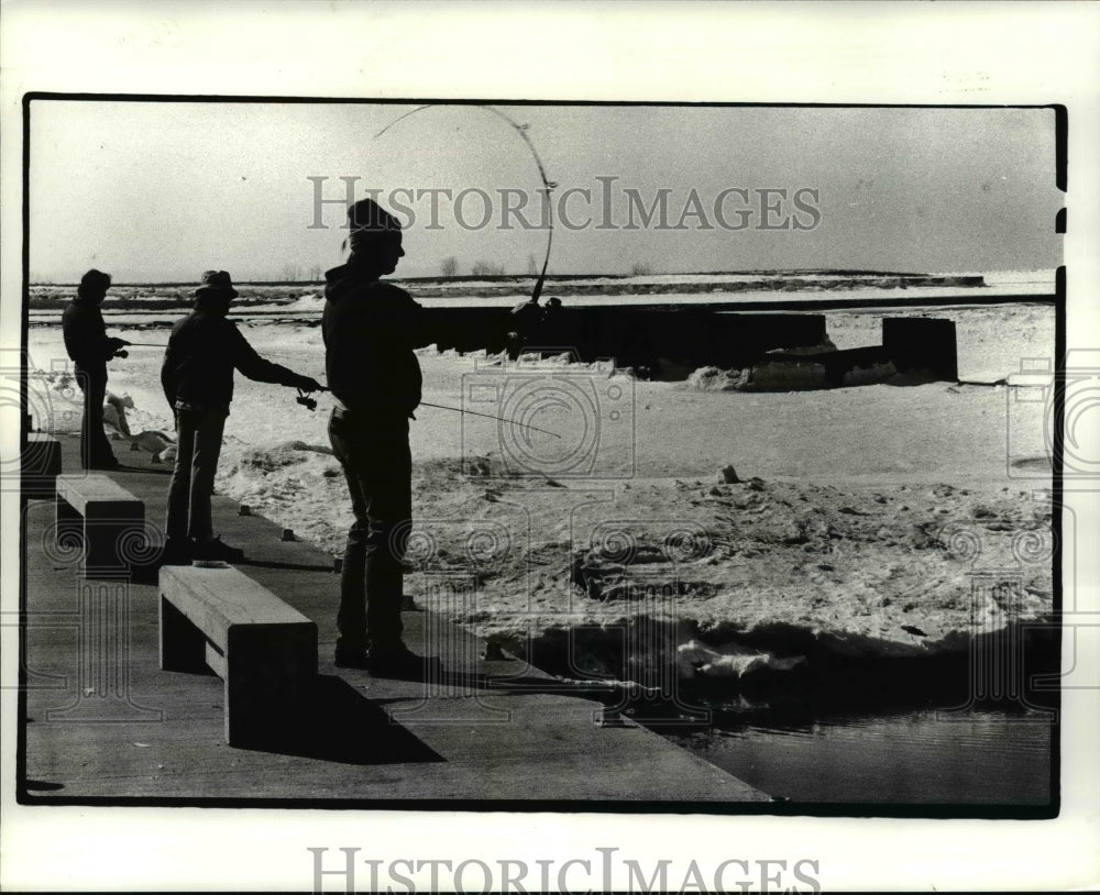 1985 Press Photo Cleveland Lakefront State Park - cvb25265 - Historic Images