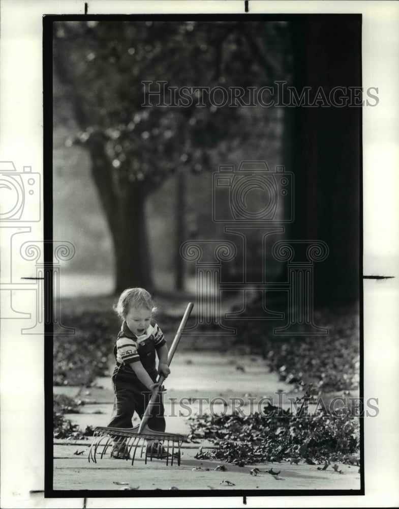 1987 Press Photo Daninel Coxs helps neighbor rake leaves while mom visits. - Historic Images