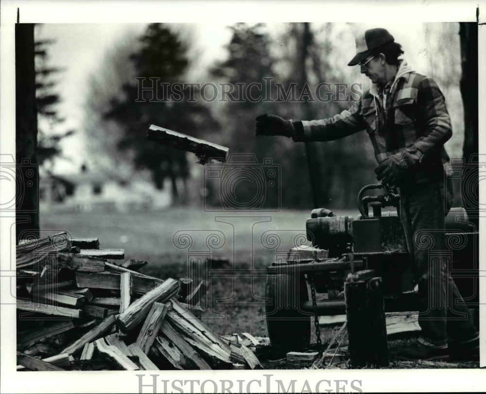 1991 Press Photo Lary Brabsonwood splitting for fireplace - cvb25658 - Historic Images