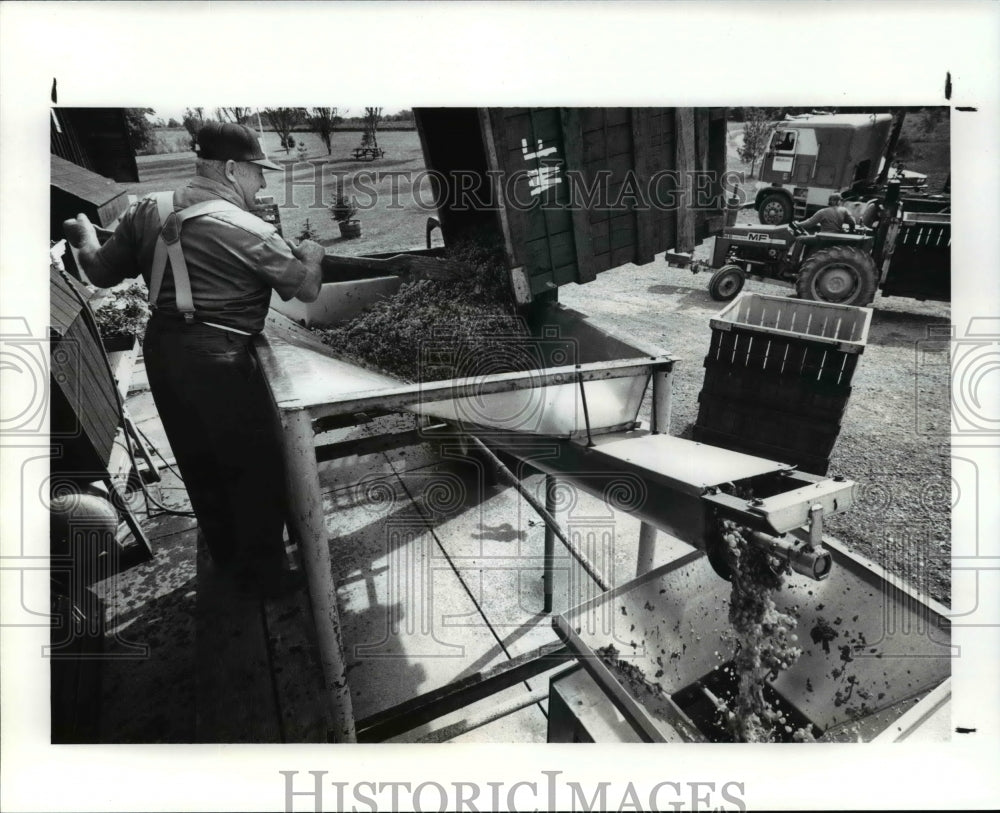 1989 Press Photo Tony Debevc Sr. at Chalet Debonne winery - cvb25692 - Historic Images