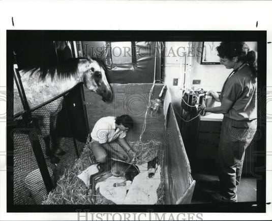 1989 Press Photo Veterinarians - cvb25936 - Historic Images