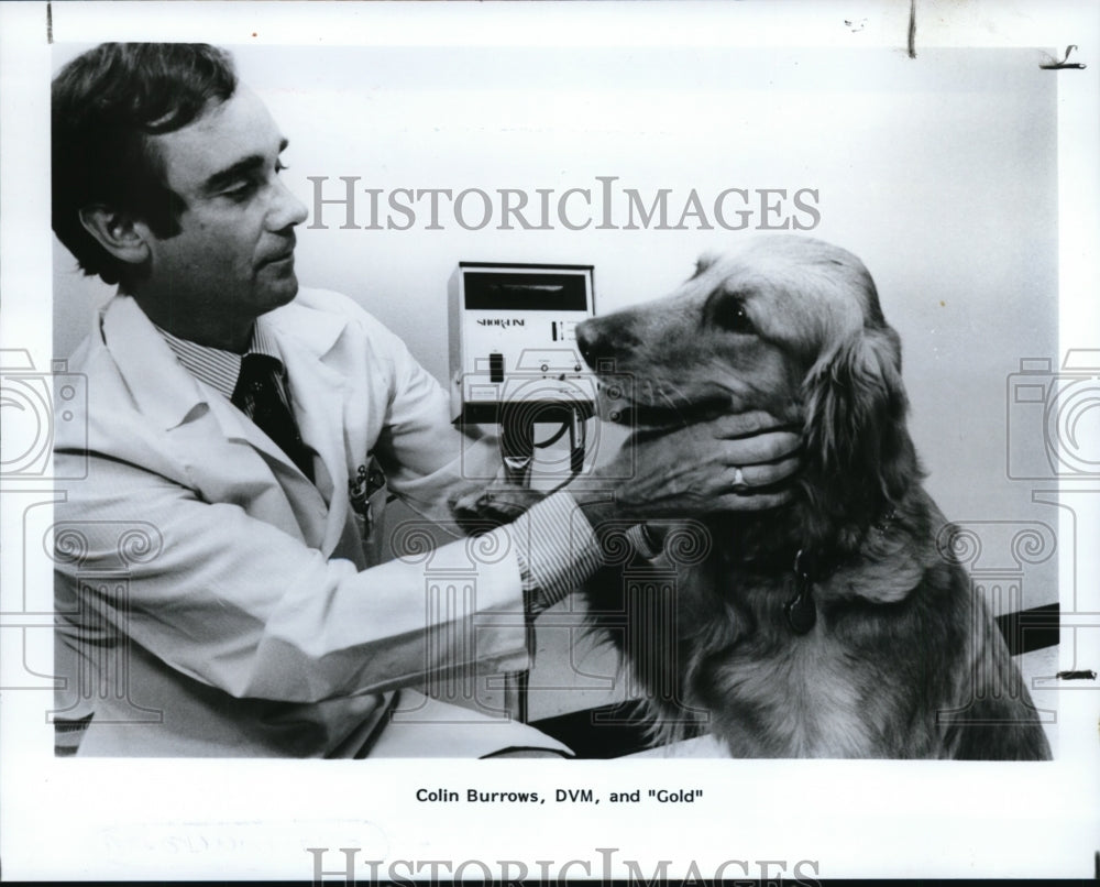 1988 Press Photo Dr. Colin Burrows and Gold-dog - cvb25937 - Historic Images